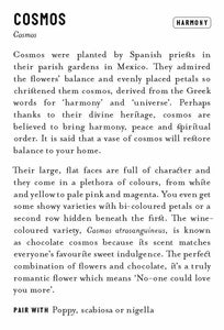 Floriography: The Meaning of Flowers