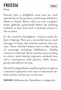 Floriography: The Meaning of Flowers