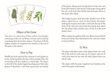 Load image into Gallery viewer, Tree Families: A Botanical Card Game