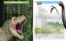 Load image into Gallery viewer, Big Book of Dinosaurs