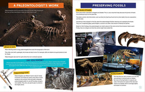 Big Book of Dinosaurs