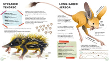 Load image into Gallery viewer, Weird and Wonderful Animals