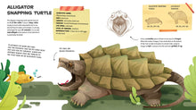 Load image into Gallery viewer, The Amazing Catalog of Weirdest Reptiles