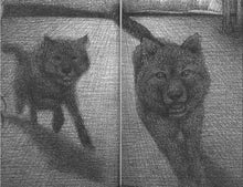 Load image into Gallery viewer, Wonderstruck
