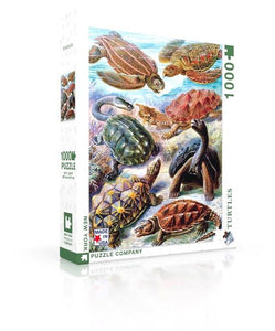 Turtles Jigsaw Puzzle (1000 pieces)