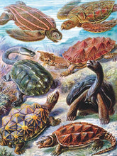 Load image into Gallery viewer, Turtles Jigsaw Puzzle (1000 pieces)