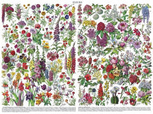 Load image into Gallery viewer, Flowers - Fleurs Puzzle (1000 pieces)