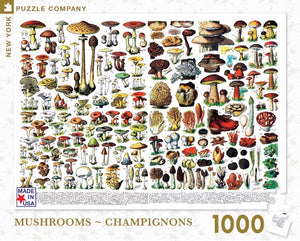 Mushrooms / Champignons (1000 pieces)