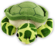 Load image into Gallery viewer, Hug a Sea Turtle Kit (Book + Plush)