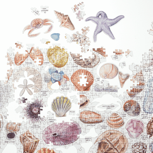 The Beachcomber's Companion Puzzle (1000 pieces)